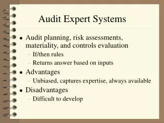 Audit Expert Systems