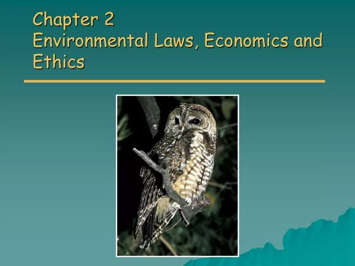 chapter 2 environmental laws economics and ethics