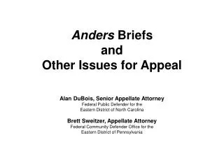 Anders Briefs and Other Issues for Appeal