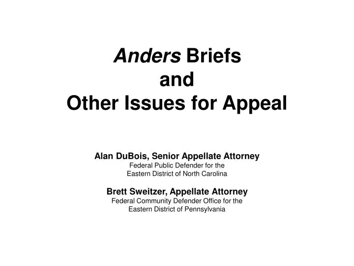 anders briefs and other issues for appeal