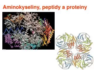 Aminokyseliny, peptidy a proteiny