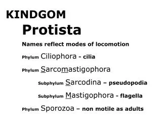 KINDGOM 		Protista 	Names reflect modes of locomotion Phylum Ciliophora - cilia Phylum S arco m astigophora Subphylum