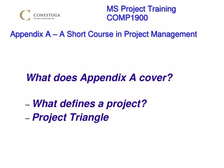 what does appendix a cover what defines a project project triangle