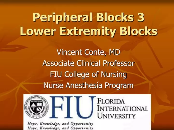 peripheral blocks 3 lower extremity blocks