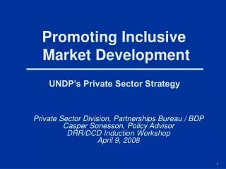 UNDP’s Private Sector Strategy