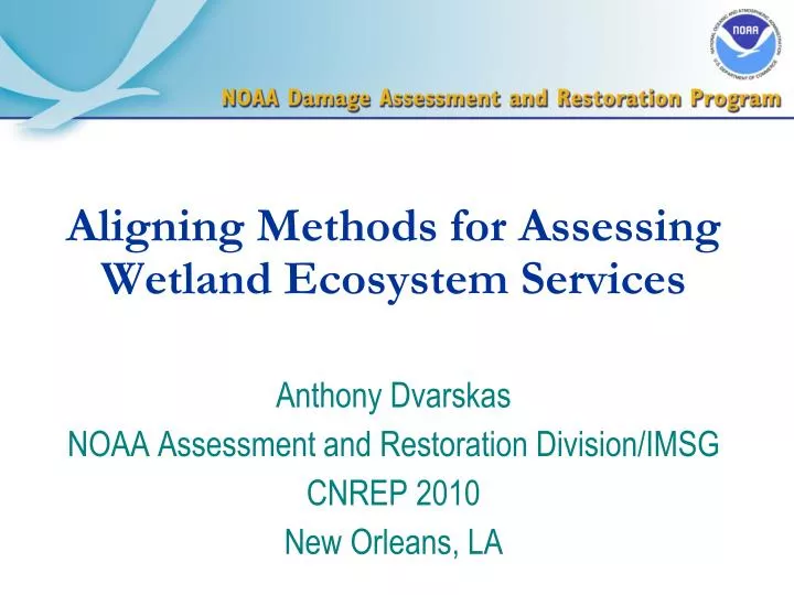 aligning methods for assessing wetland ecosystem services