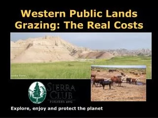 Western Public Lands Grazing: The Real Costs