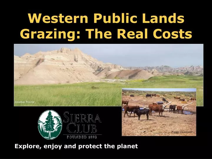 western public lands grazing the real costs