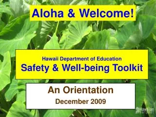 Hawaii Department of Education Safety &amp; Well-being Toolkit