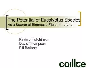 The Potential of Eucalyptus Species As a Source of Biomass / Fibre In Ireland