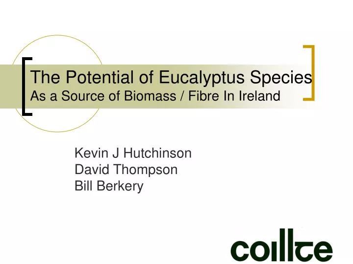 the potential of eucalyptus species as a source of biomass fibre in ireland