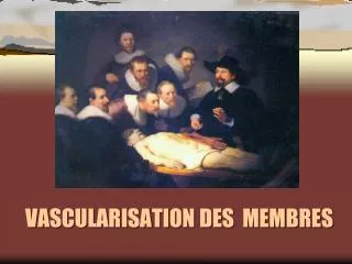 vascularisation des membres