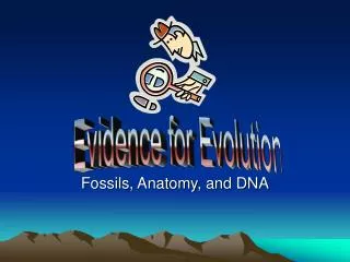 Fossils, Anatomy, and DNA