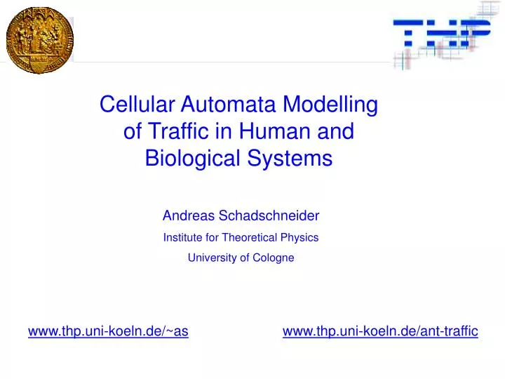 cellular automata modelling of traffic in human and biological systems