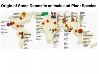 Origin of Some Domestic animals and Plant Species