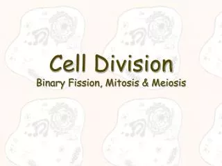 Cell Division Binary Fission, Mitosis &amp; Meiosis