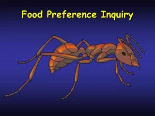 Food Preference Inquiry