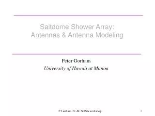 Saltdome Shower Array: Antennas &amp; Antenna Modeling