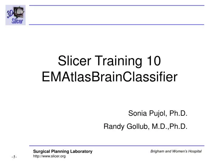 slicer training 10 ematlasbrainclassifier