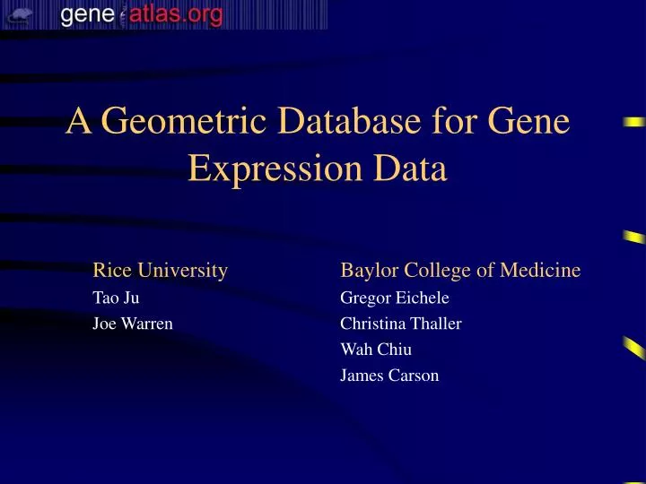 a geometric database for gene expression data