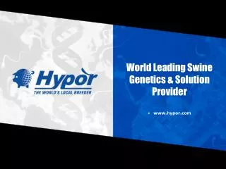 World Leading Swine Genetics &amp; Solution Provider