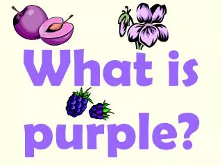 What is purple?