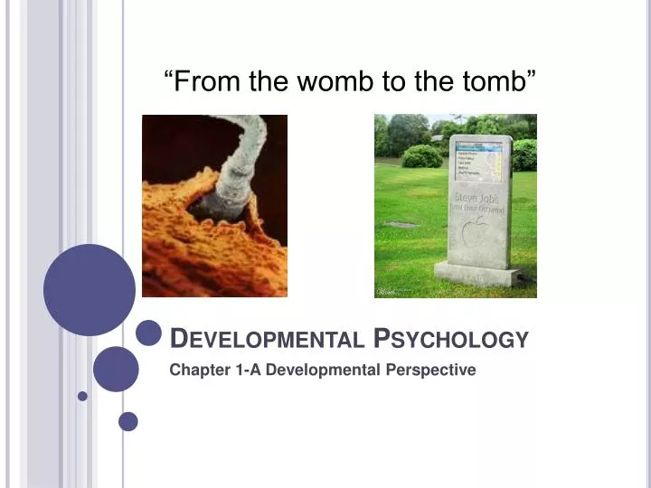 developmental psychology