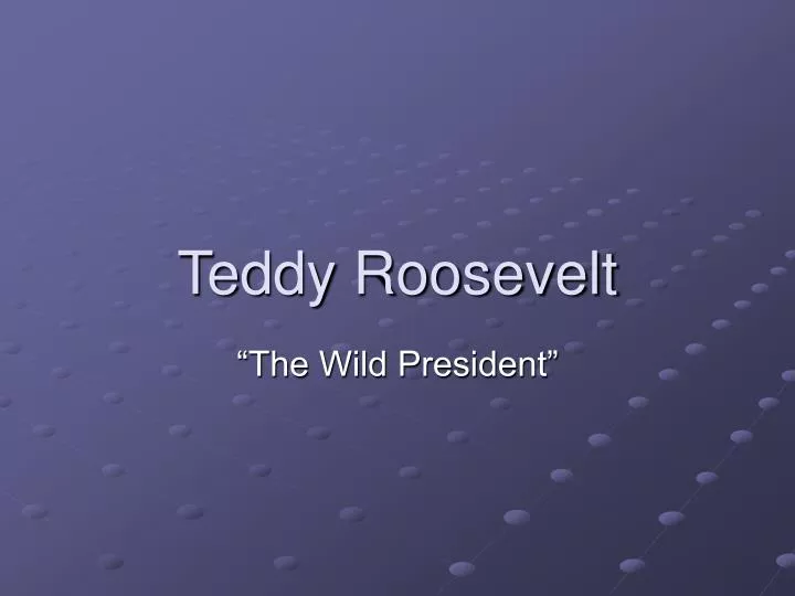teddy roosevelt