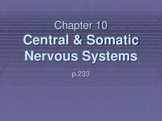 Chapter 10 Central &amp; Somatic Nervous Systems
