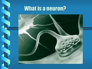 What is a neuron?