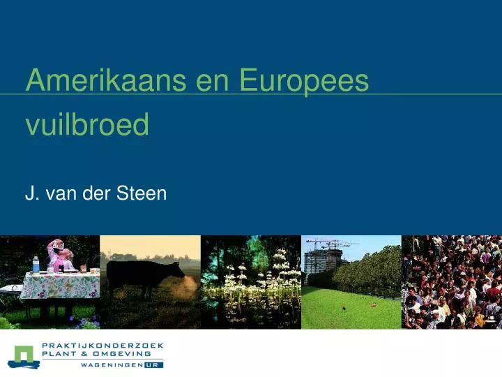 amerikaans en europees vuilbroed