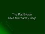 The Pat Brown DNA Microarray Chip - slide 1