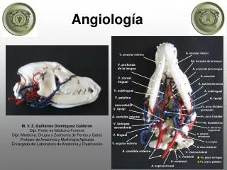 Angiología