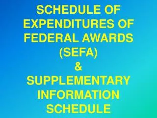 SCHEDULE OF EXPENDITURES OF FEDERAL AWARDS (SEFA) &amp; SUPPLEMENTARY INFORMATION SCHEDULE