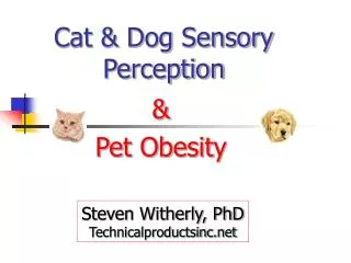 Cat &amp; Dog Sensory Perception