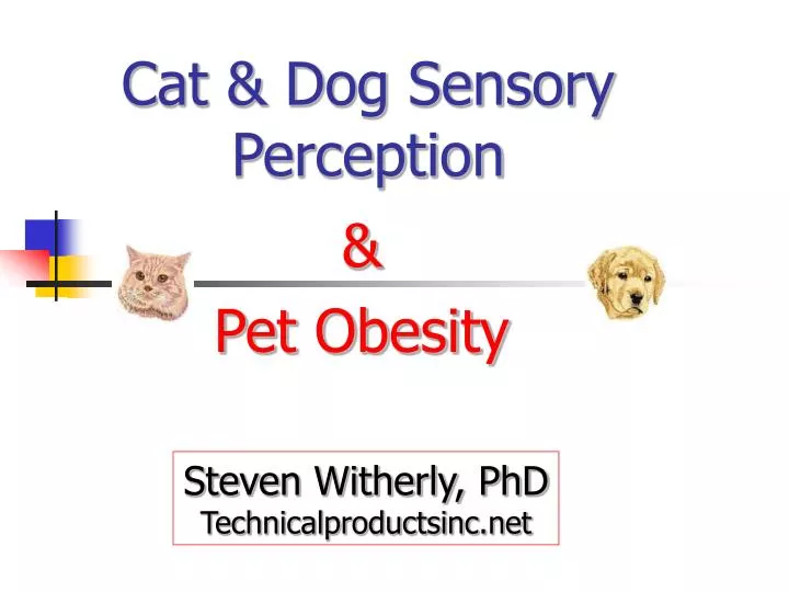 cat dog sensory perception