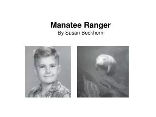 Manatee Ranger By Susan Beckhorn