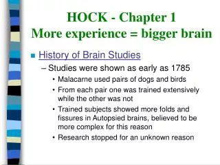 HOCK - Chapter 1 More experience = bigger brain