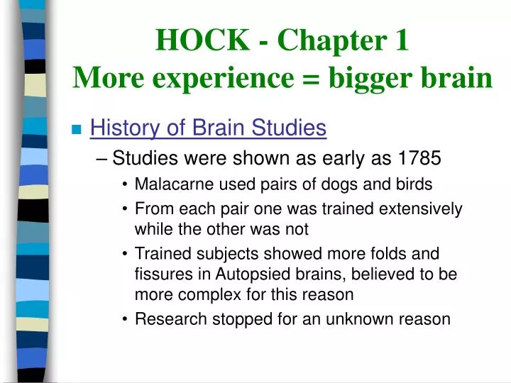 hock chapter 1 more experience bigger brain
