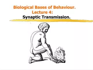 Biological Bases of Behaviour. 					Lecture 4: Synaptic Transmission.
