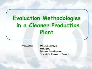 Evaluation Methodologies in a Cleaner Production Plant