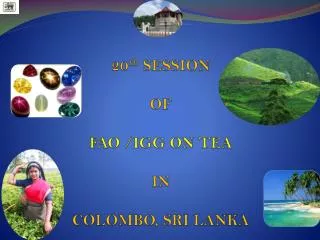 20 th SESSION OF FAO /IGG ON TEA IN COLOMBO, SRI LANKA