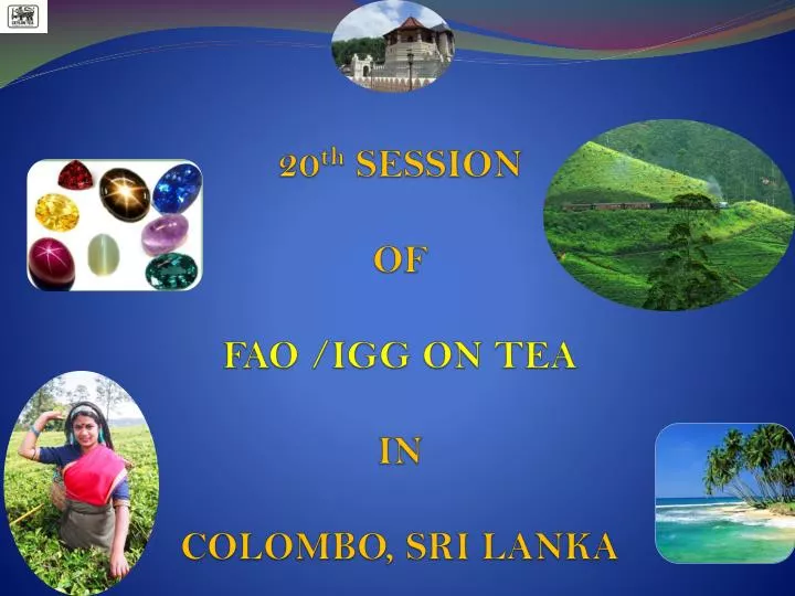 20 th session of fao igg on tea in colombo sri lanka