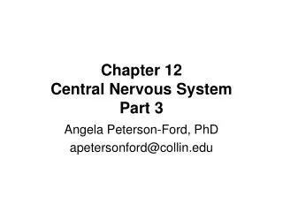 Chapter 12 Central Nervous System Part 3