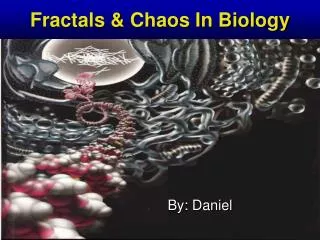 Fractals &amp; Chaos In Biology