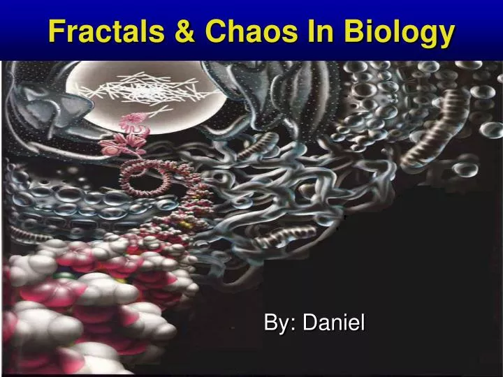 fractals chaos in biology