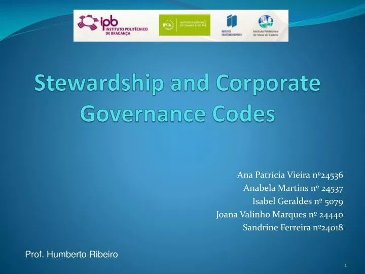 stewardship and corporate governance codes