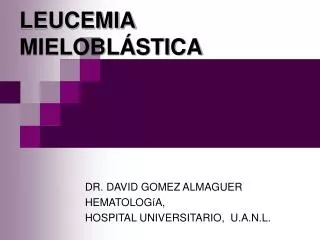 leucemia mielobl stica