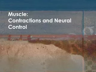 Muscle: Contractions and Neural Control