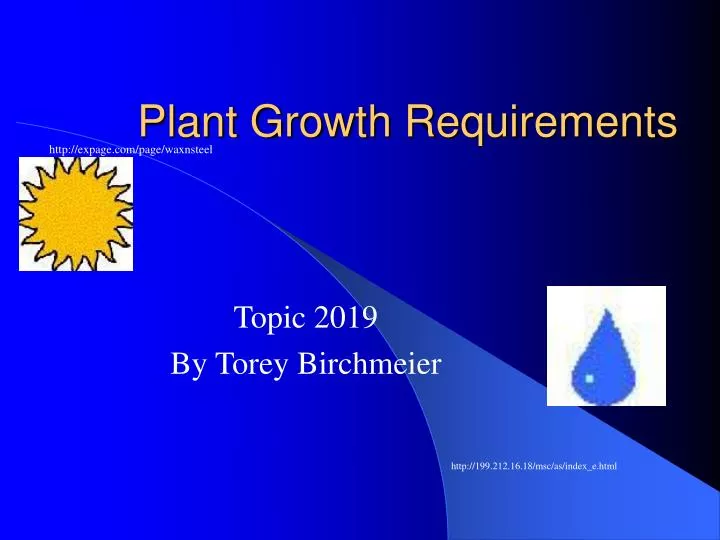 plant growth requirements